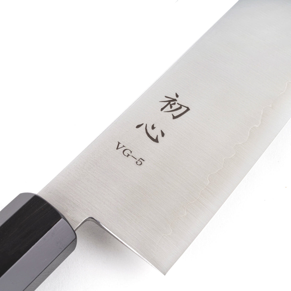 Hatsukokoro VG-5 Hayabusa Gyuto 210/ 240mm