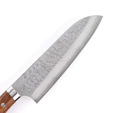 Takeshi Saji SRS-13 Hammered Damascus Santoku 180mm Ironwood Handle