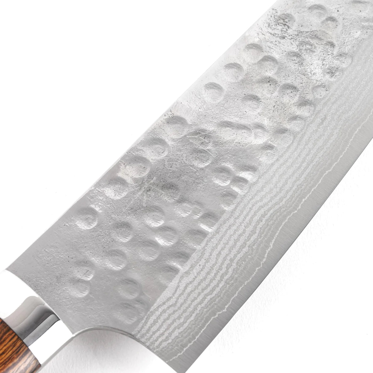 Takeshi Saji SRS-13 Hammered Damascus K-Tip Gyuto 240mm Ironwood Handle